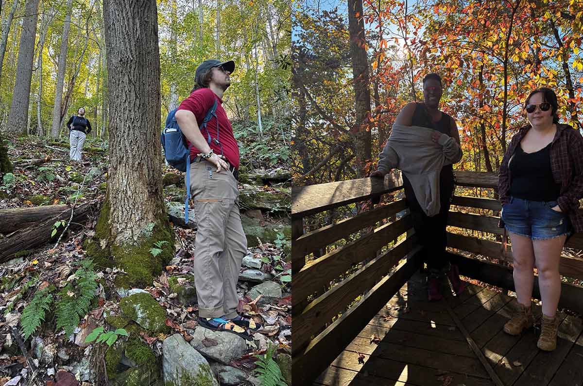 Hikers in a forest: looking up a trail canopy, and standing on a sun-dappled wooden boardwalk.